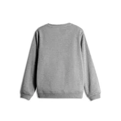 Hot Børne Sweatshirt Grå Melange Hættetrøjer Og Sweatshirts|Hættetrøjer Og Sweatshirts
