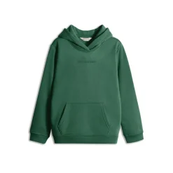 Discount Børn Hættetrøjer Grøn Hættetrøjer Og Sweatshirts|Hættetrøjer Og Sweatshirts