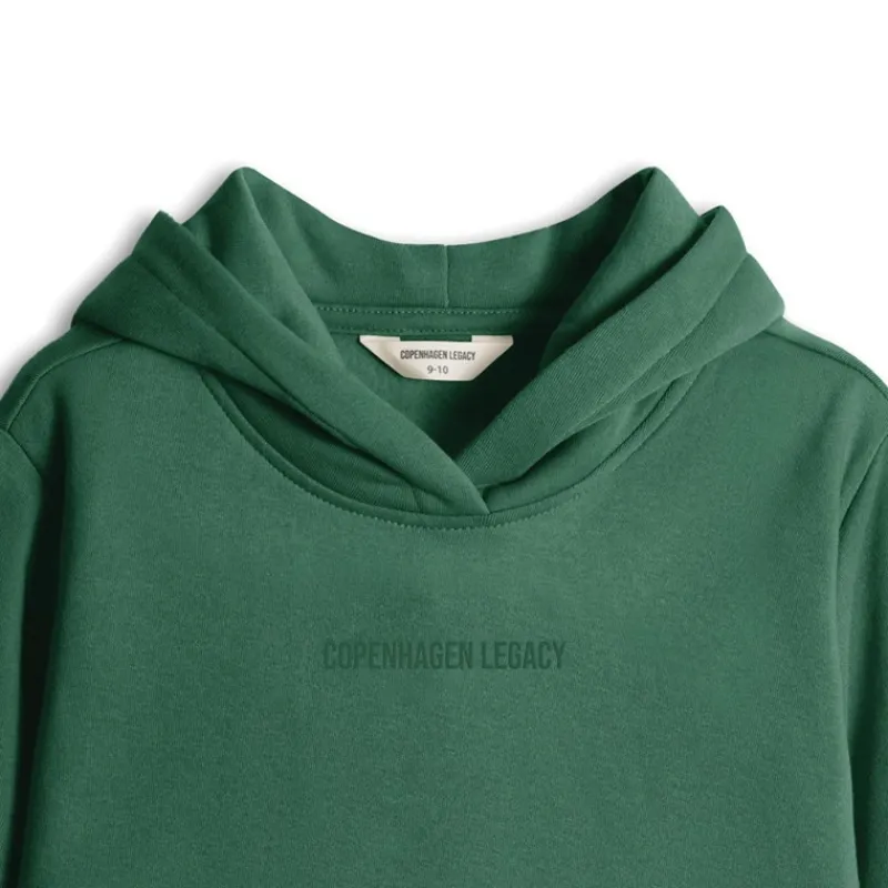 Discount Børn Hættetrøjer Grøn Hættetrøjer Og Sweatshirts|Hættetrøjer Og Sweatshirts