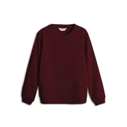 Discount Børn Sweatshirt Hættetrøjer Og Sweatshirts|Hættetrøjer Og Sweatshirts