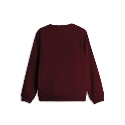 Discount Børn Sweatshirt Hættetrøjer Og Sweatshirts|Hættetrøjer Og Sweatshirts