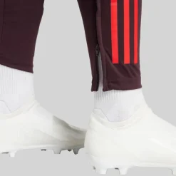 New Dame FCB FC Bayern München Træningsbukser Shadow Maroon/​Rød Dame Sport Træningsbukser|Træning