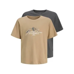 Best Drenge Bjerg To Pak T shirts Silver Mink/Asphalt Multipakker|T-Shirts Og Undertrøjer