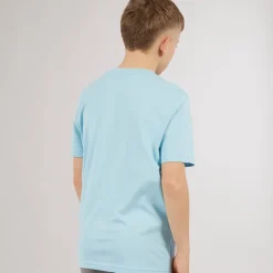 Drenge Grafik T-shirt Aqua Tøj|T-Shirts Og Undertrøjer