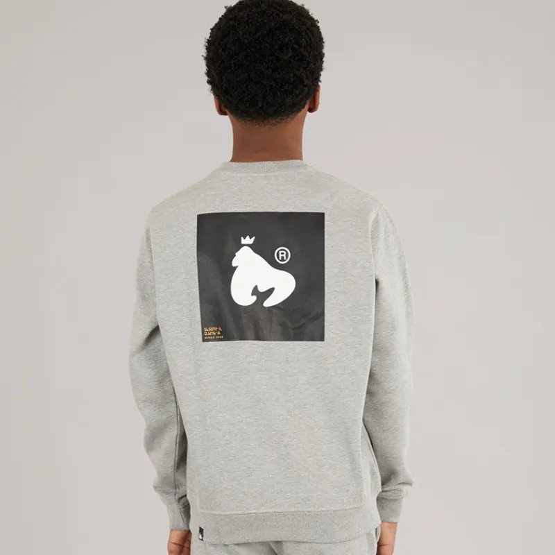 Best Drenge Relex Crew Sweatshirt Grå Hættetrøjer Og Sweatshirts