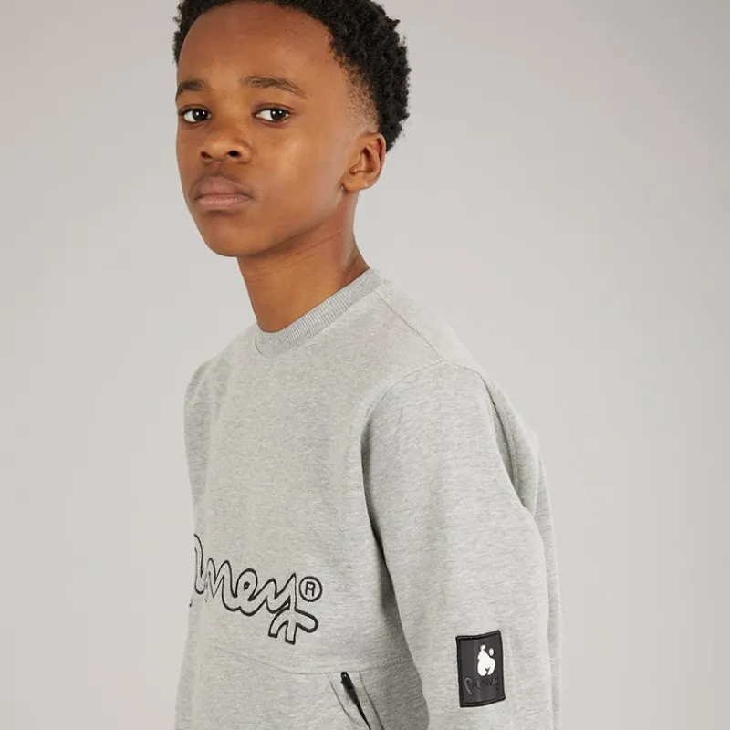Best Drenge Relex Crew Sweatshirt Grå Hættetrøjer Og Sweatshirts