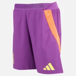 Best Herre RBFA Belgien 24/​25 Autentiske udebane shorts Glory Purple Træning|Shorts Og Badetøj·Sport Shorts