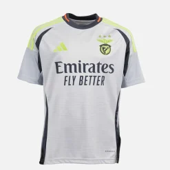 Junior Drenge SLB Benfica 24/​25 tredje trøje Light Solid Grey Tøj|T-Shirts Og Undertrøjer